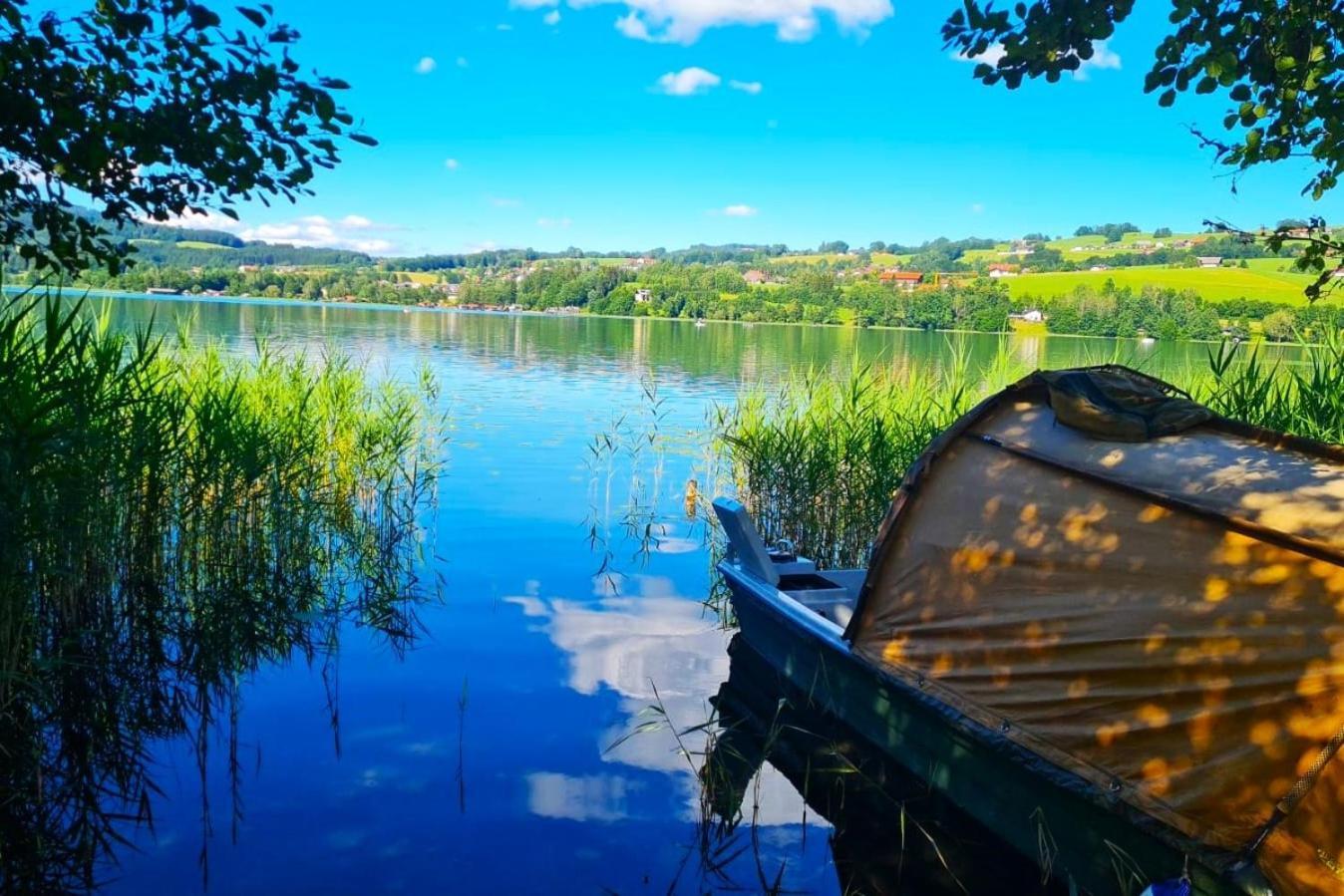 Haus Am Weinberg Διαμέρισμα Seekirchen am Wallersee Εξωτερικό φωτογραφία