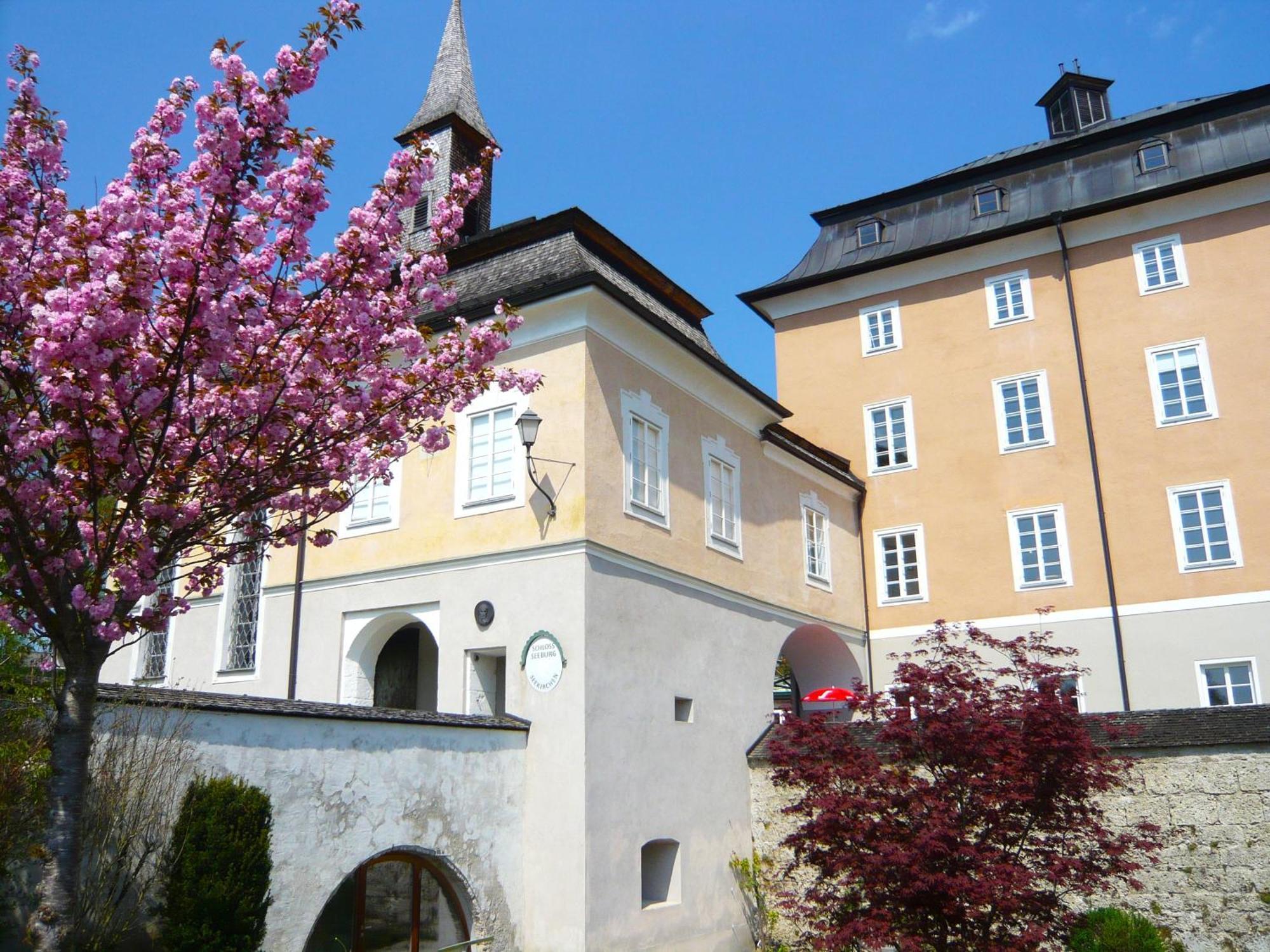 Haus Am Weinberg Διαμέρισμα Seekirchen am Wallersee Εξωτερικό φωτογραφία
