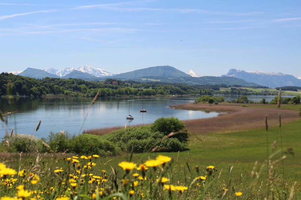 Haus Am Weinberg Διαμέρισμα Seekirchen am Wallersee Εξωτερικό φωτογραφία