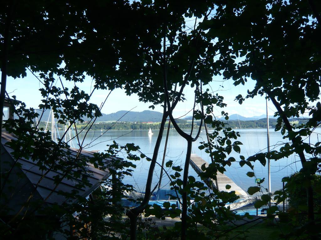 Haus Am Weinberg Διαμέρισμα Seekirchen am Wallersee Εξωτερικό φωτογραφία
